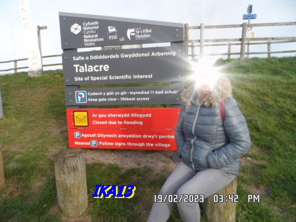 SAM_4395.JPG - ika13