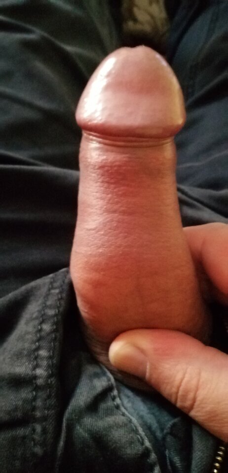 IMG_20210409_071806.jpg - Dario0211