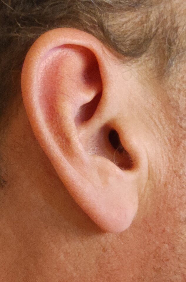 IMG_20230220_175532.jpg - Star_266