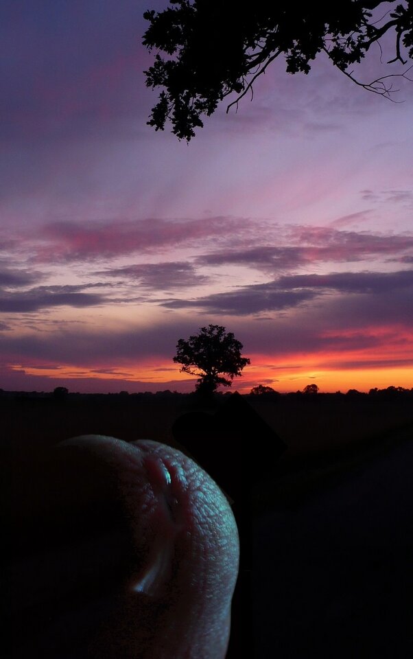 Zapłakał... - Ciasteczkowyxxx