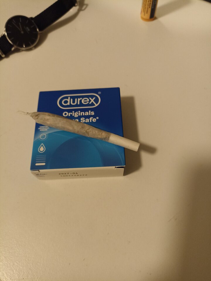 1676925706020738066352414492352.jpg - Szukajmnie12