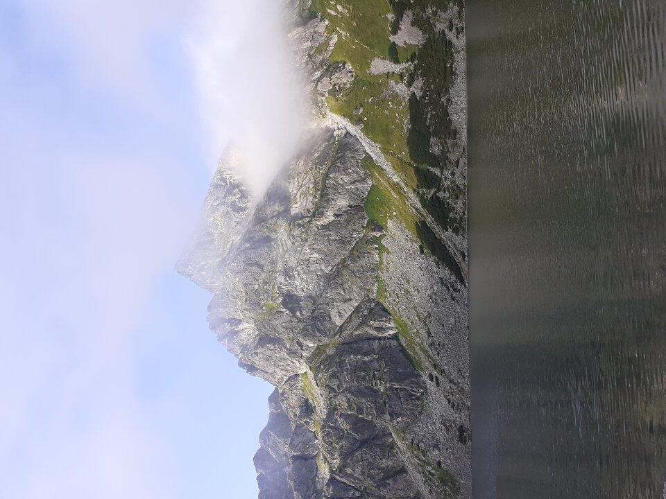 20220813_082658.jpg - bolxxx