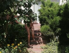IMG_20200825_132847.jpg
