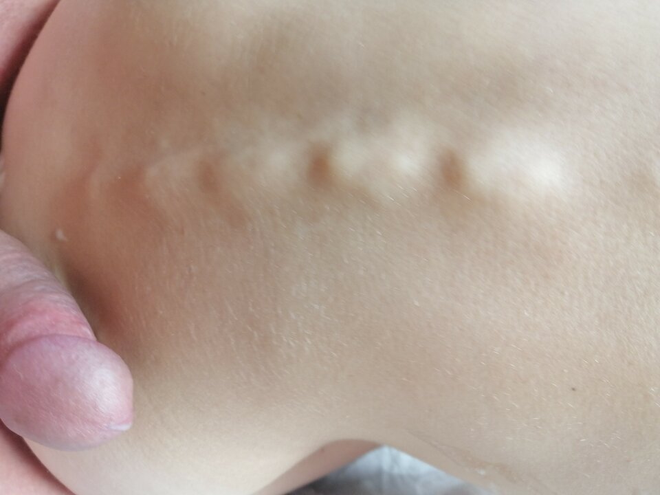 IMG_20200825_133300.jpg - 2017ONI