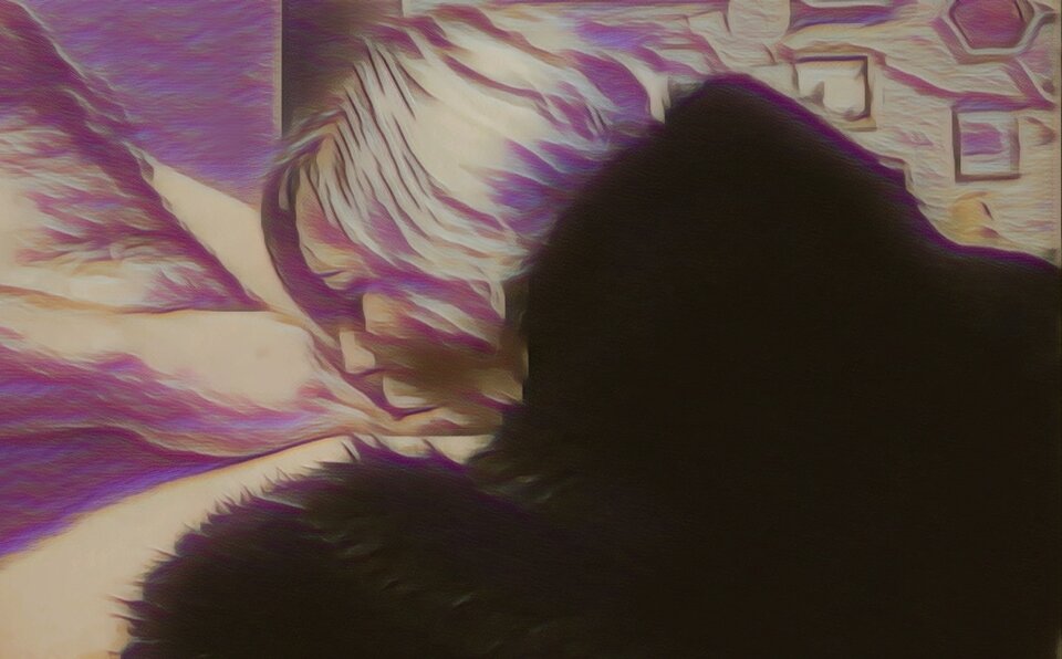 20230221_124209.jpg - CrazyTwinFlames