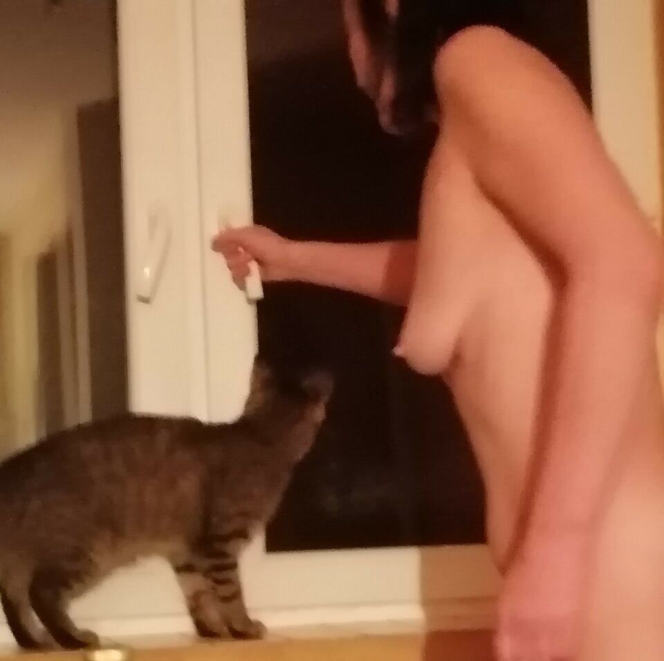 IMG_20200824_040844.jpg - 2017ONI