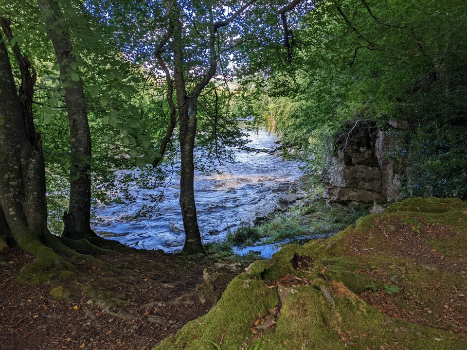 IMG-20220821-WA0022.jpg - ParadiseLostUK