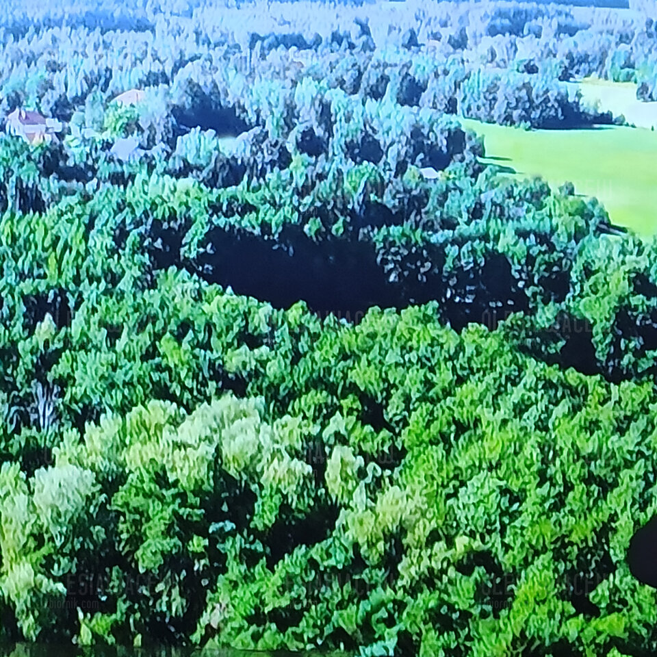 IMG_20230220_135258.jpg - olesiawacew