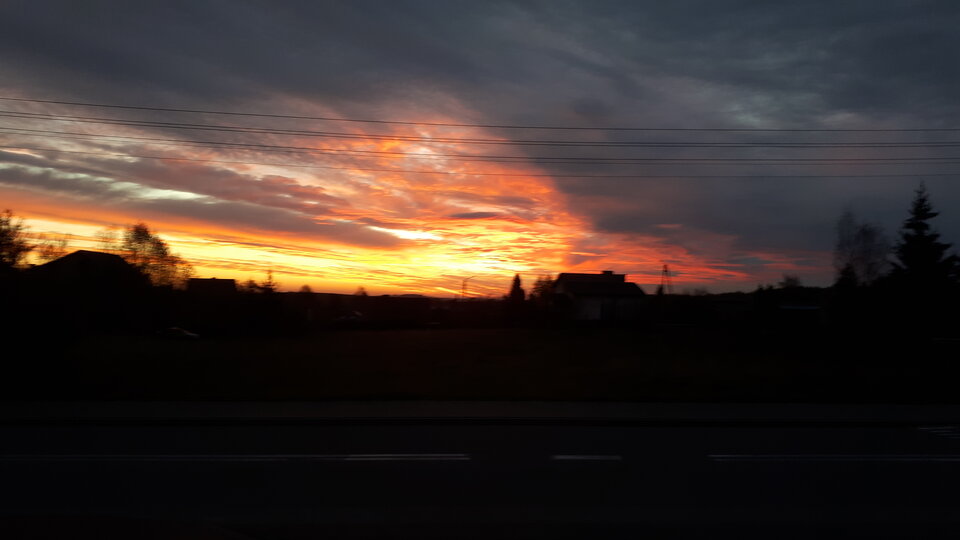 20221030_062849.jpg - TeoffilFIUT