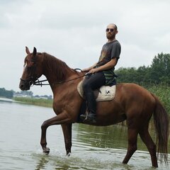 koń.jpg