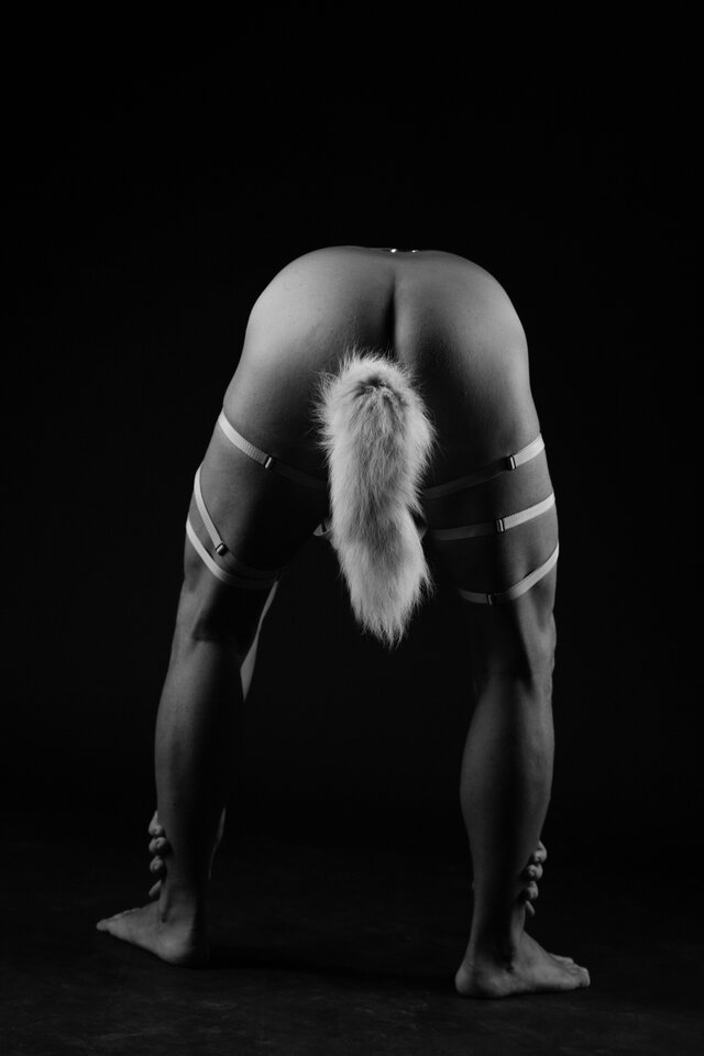 _92B7086a_edited.jpg - zatraceniec