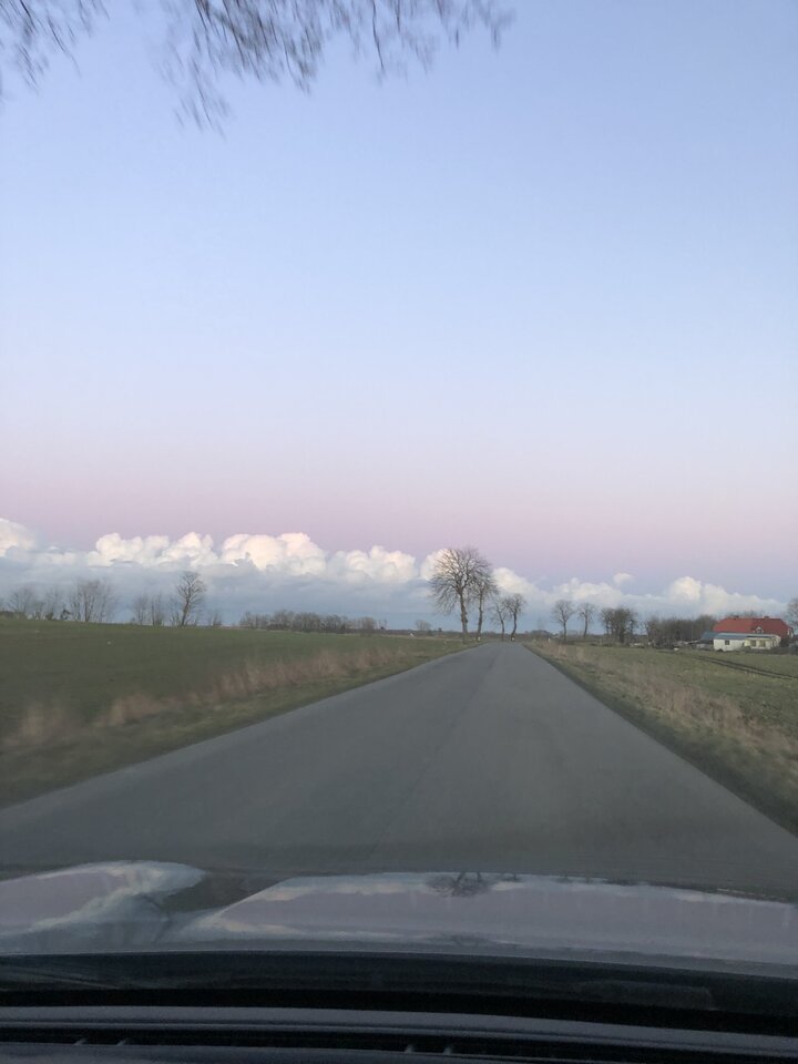 IMG_1304.JPG - nickub12