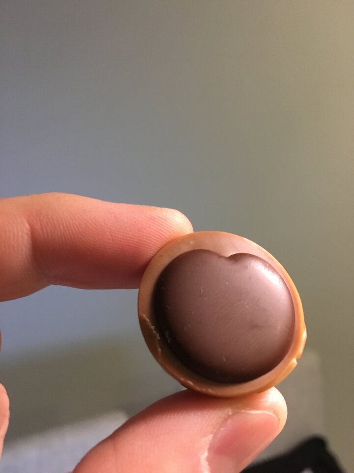 IMG_1985.JPG - nickub12