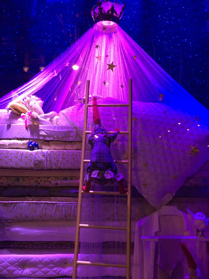 IMG_2321.JPG - nickub12