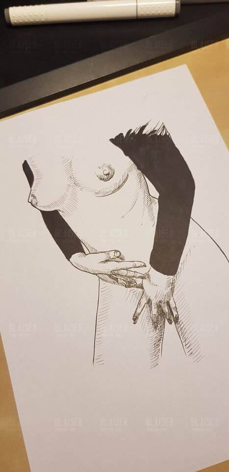 Art. No. 215 - blaise8