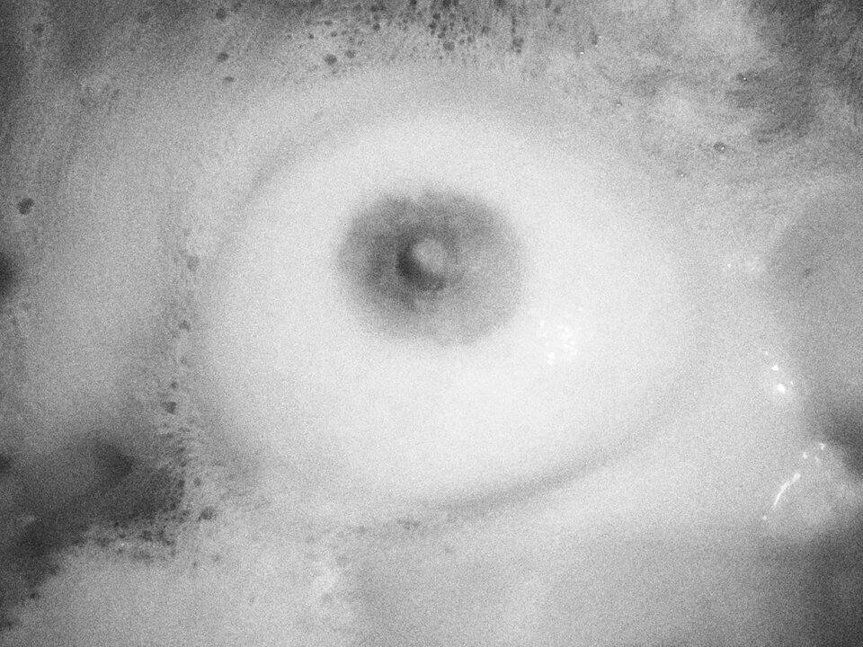 _1230073611156559-01.jpeg - MBSL