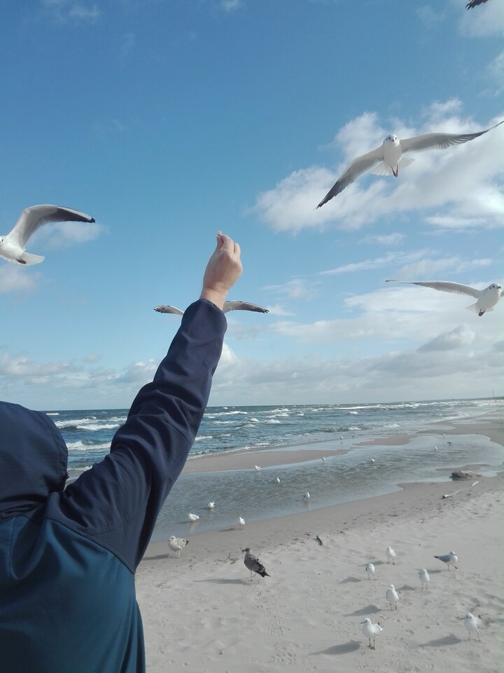 IMG_20220916_095755.jpg - Adrian2a2