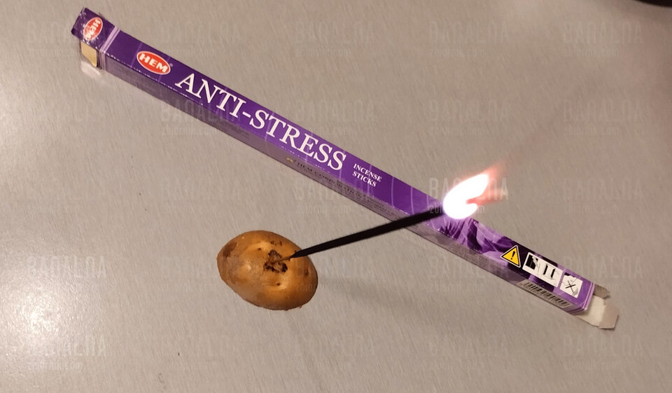 IMG_20230224_211002.jpg - banalna