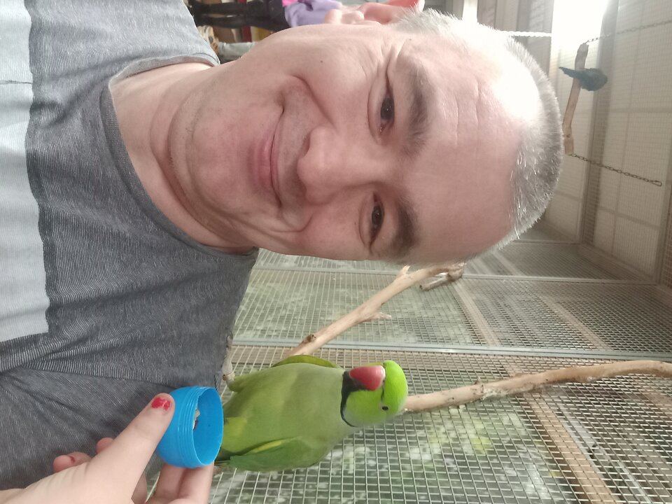 20230212_172927.jpg - rosput_nik