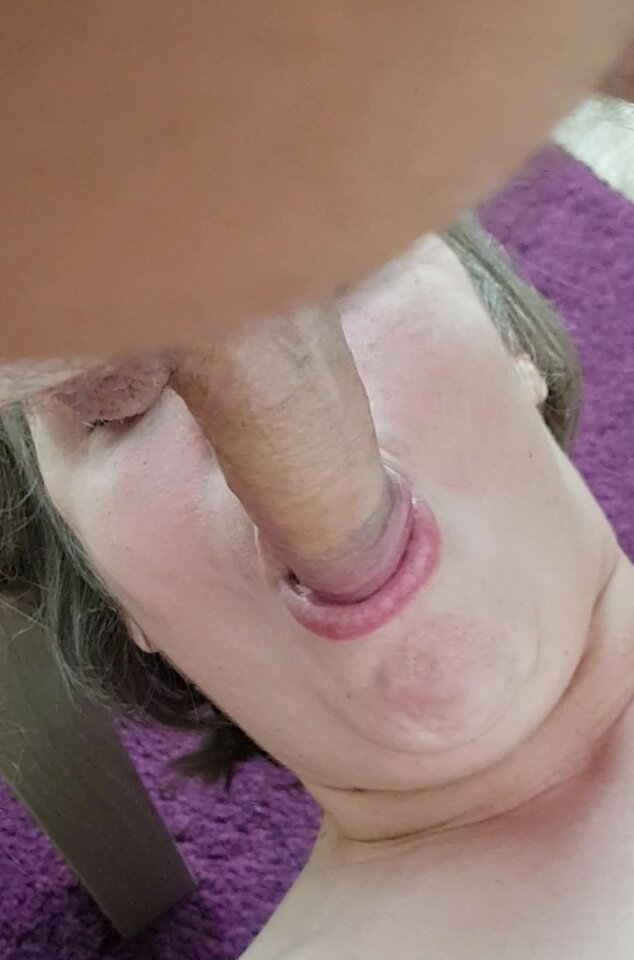 1 (24).jpg - Berektors