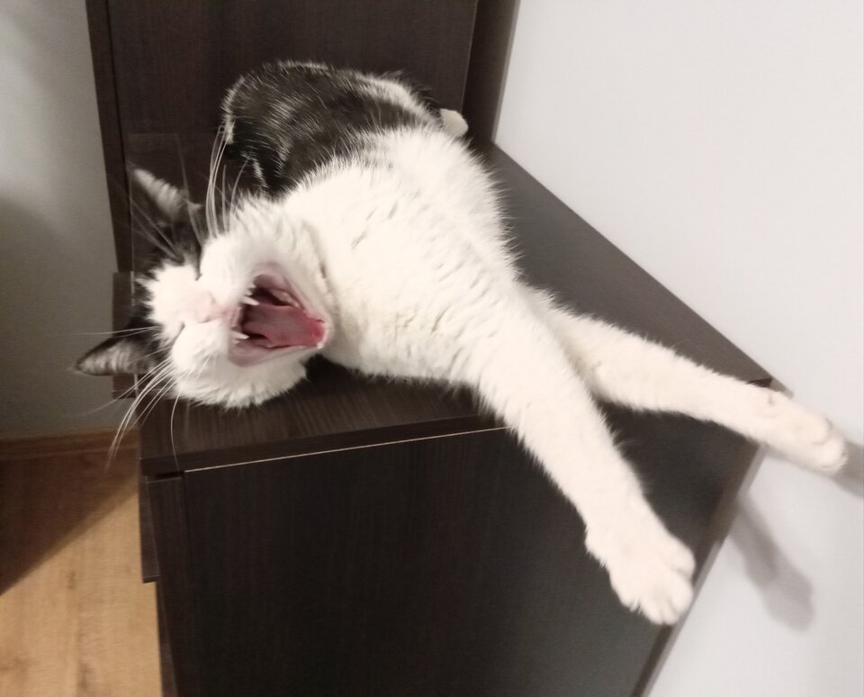 IMG_20210418_200730.jpg - sf43