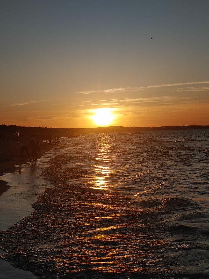 IMG-20220809-WA0004.jpg - harryraider