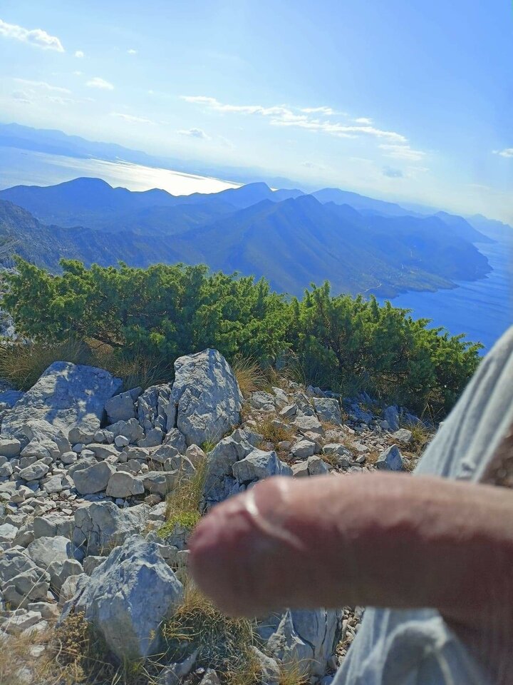 received_2131900860306204.jpeg - Bibiohortulanus69