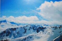 DSC_0132.JPG