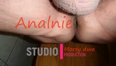 W czasie deszczu ...................się nudzą !!!