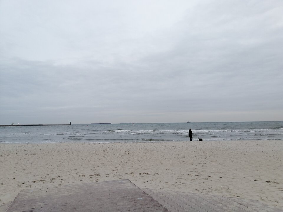 IMG_20230111_152154.jpg - ZupaSerowa