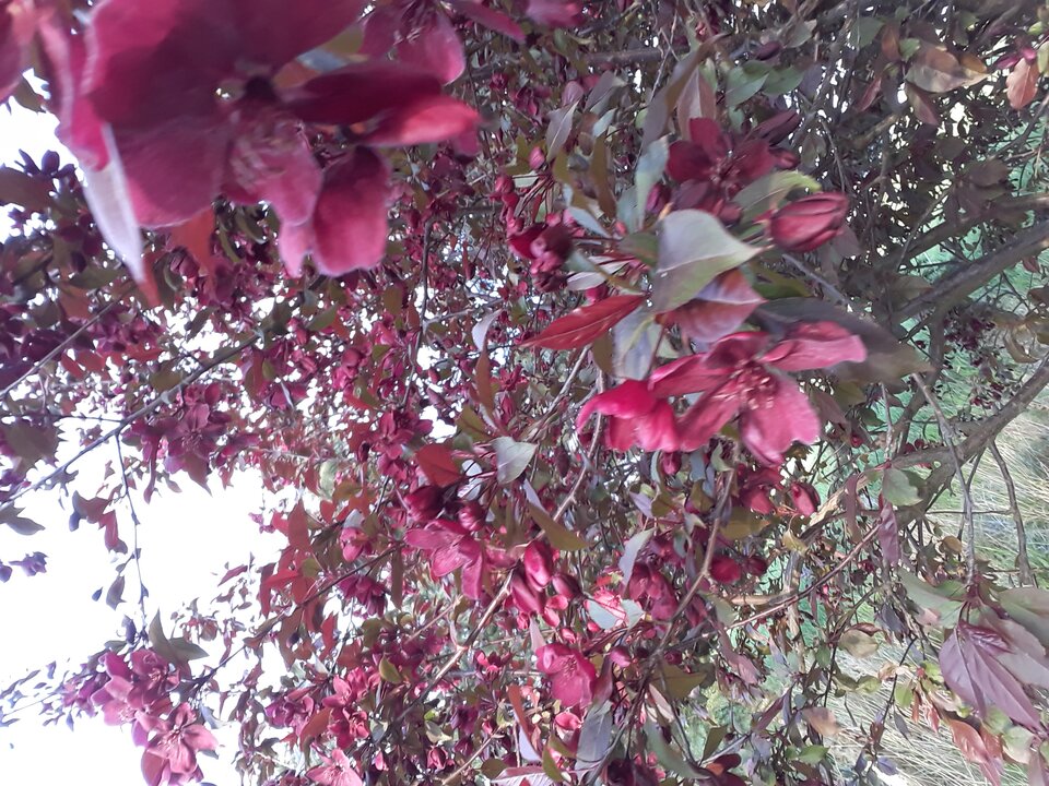 20220503_182516.jpg - Tom7474