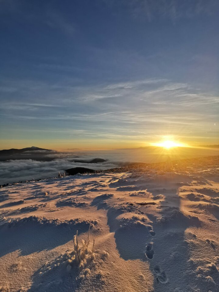 IMG-20230109-WA0025.jpg - mihal_bb