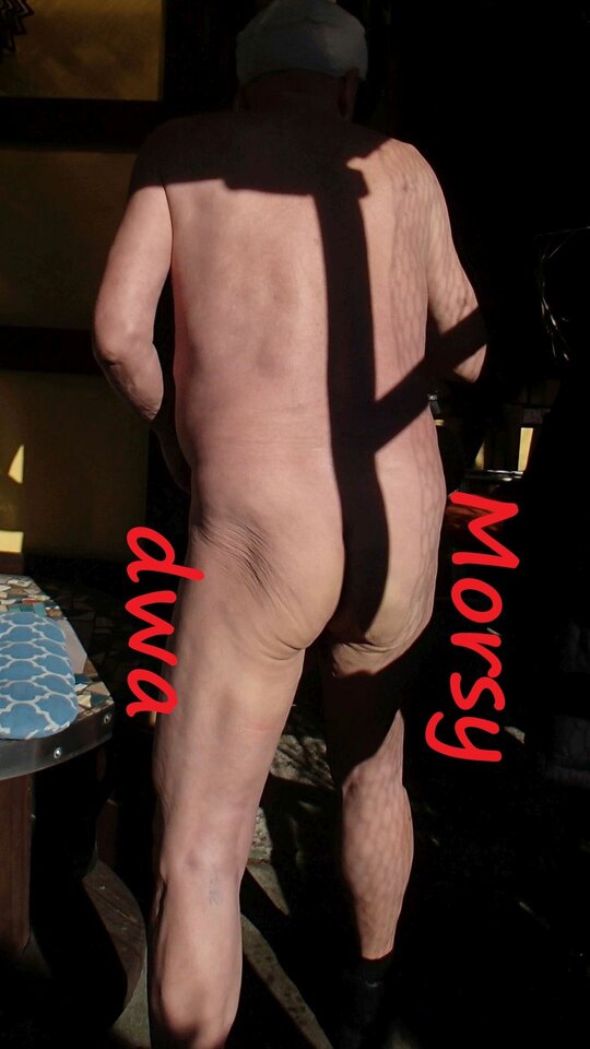 W zimowym słoneczku. - Morsy_dwa