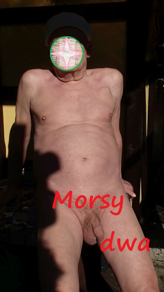 W zimowym słoneczku. - Morsy_dwa