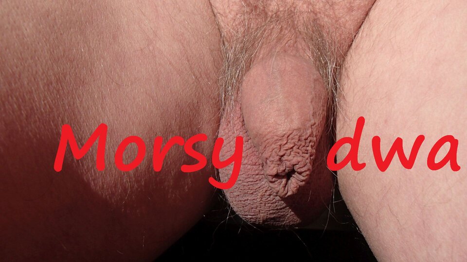 W zimowym słoneczku. - Morsy_dwa