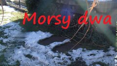 W zimowym słoneczku.