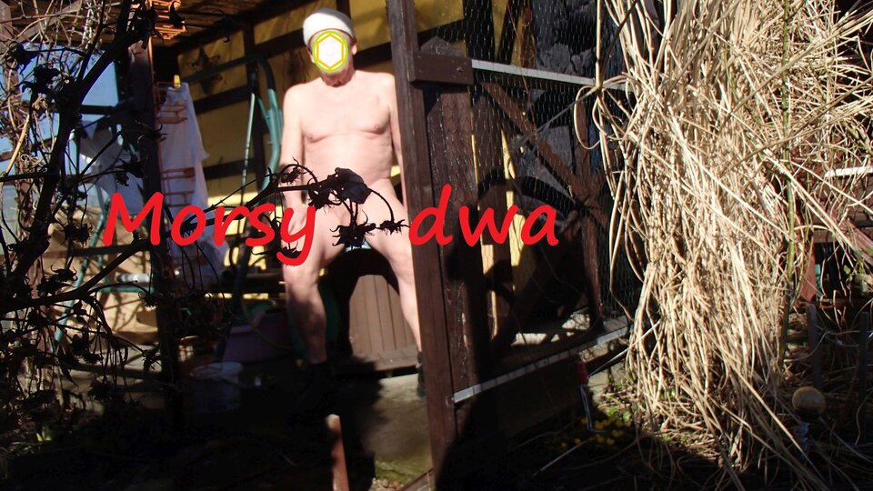 W zimowym słoneczku. - Morsy_dwa