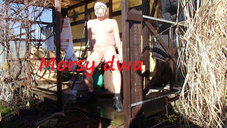 W zimowym słoneczku. - Morsy_dwa