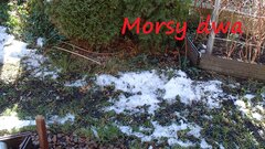 W zimowym słoneczku.