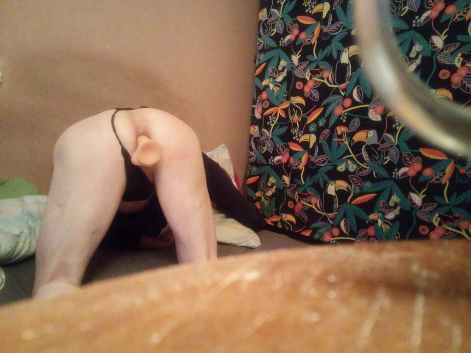 20230228_224146_HDR.jpg - BIFIFI