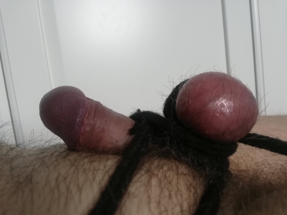 IMG_20230222_112613.jpg - Maxi1001