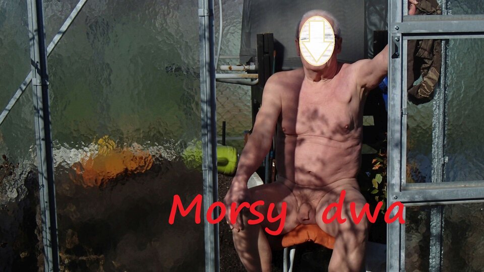 W marcu też grzeje. - Morsy_dwa