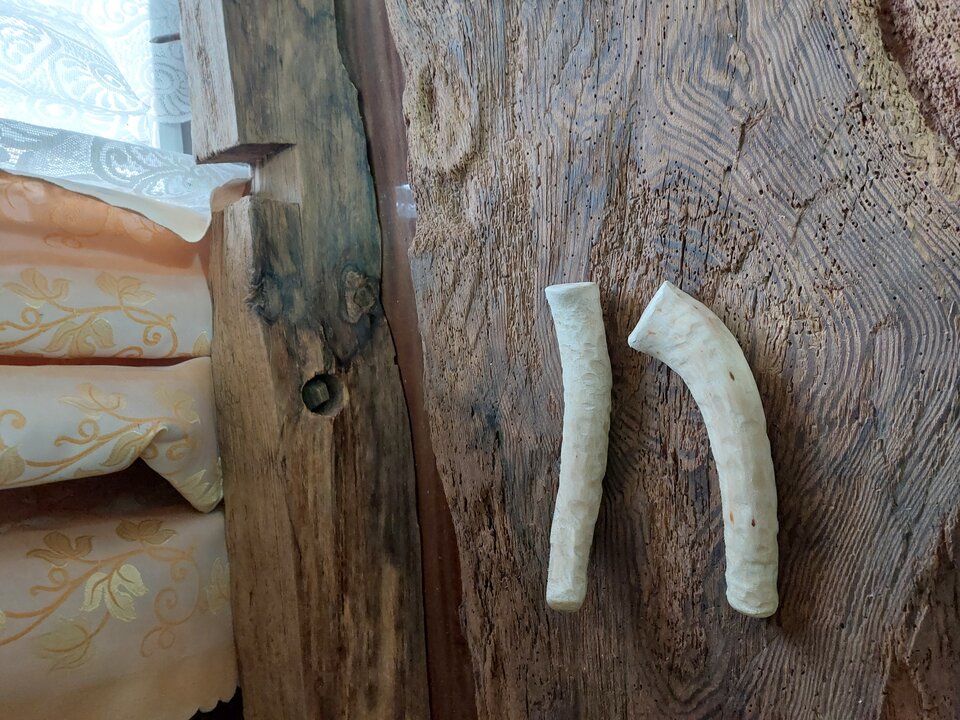 20230302_140321.jpg - Kameleon960