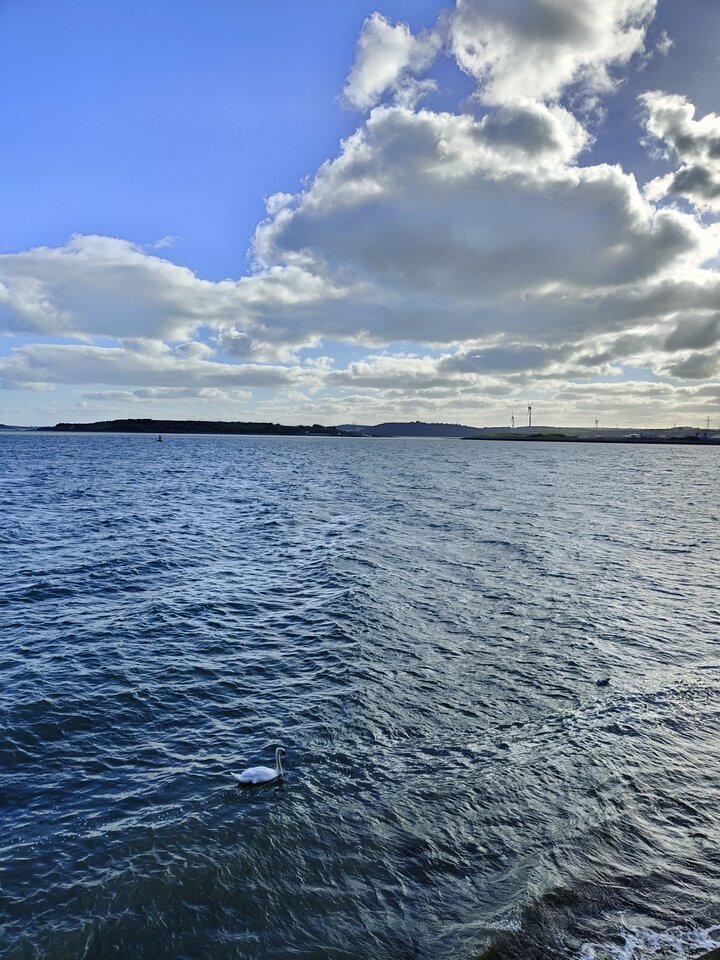 IMG20230226150932.jpg - Kolega_ze_zbiornika