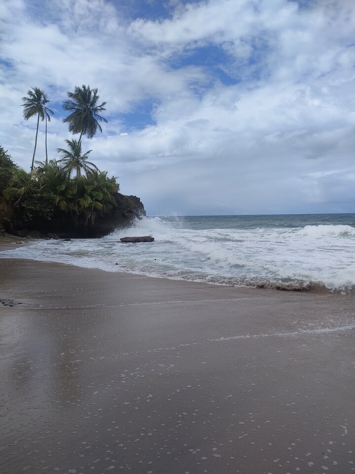 IMG20221203123549.jpg - Robokrak