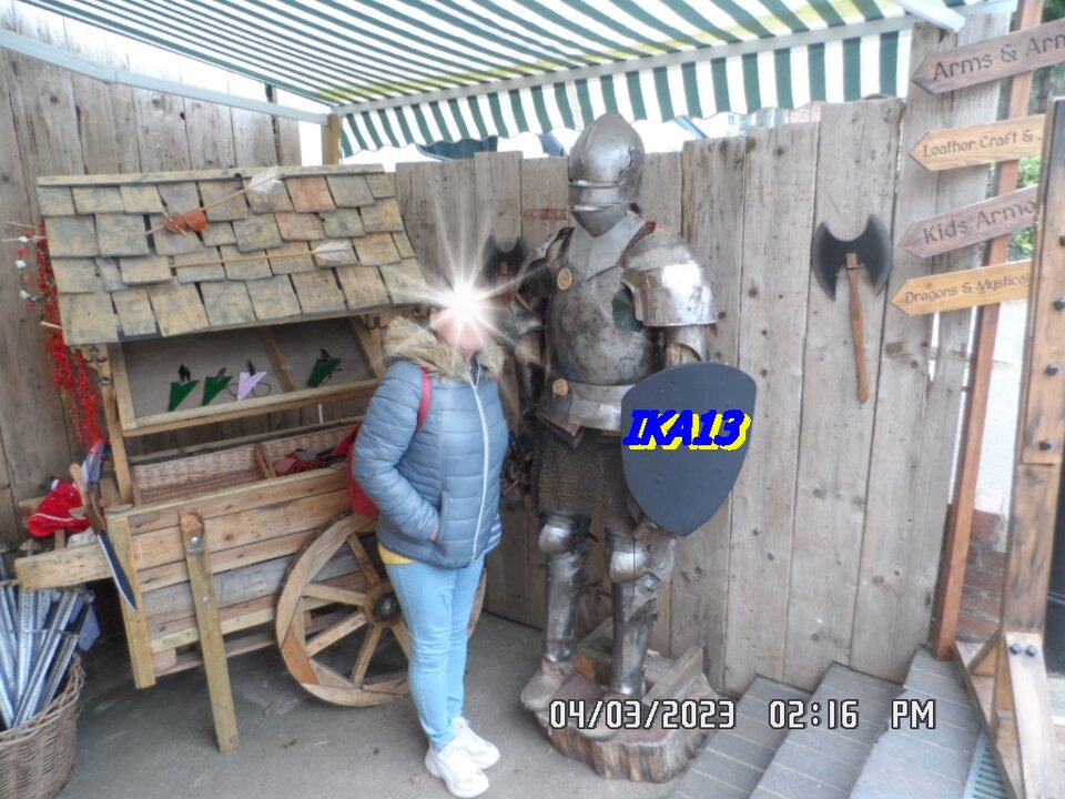 SAM_4396.JPG - ika13