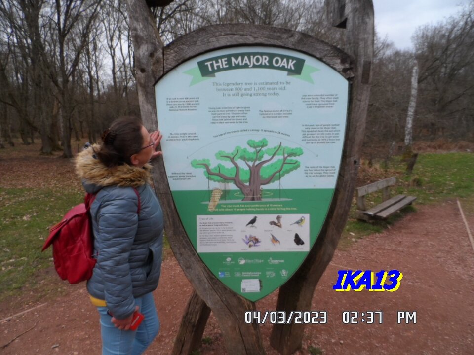 SAM_4400.JPG - ika13