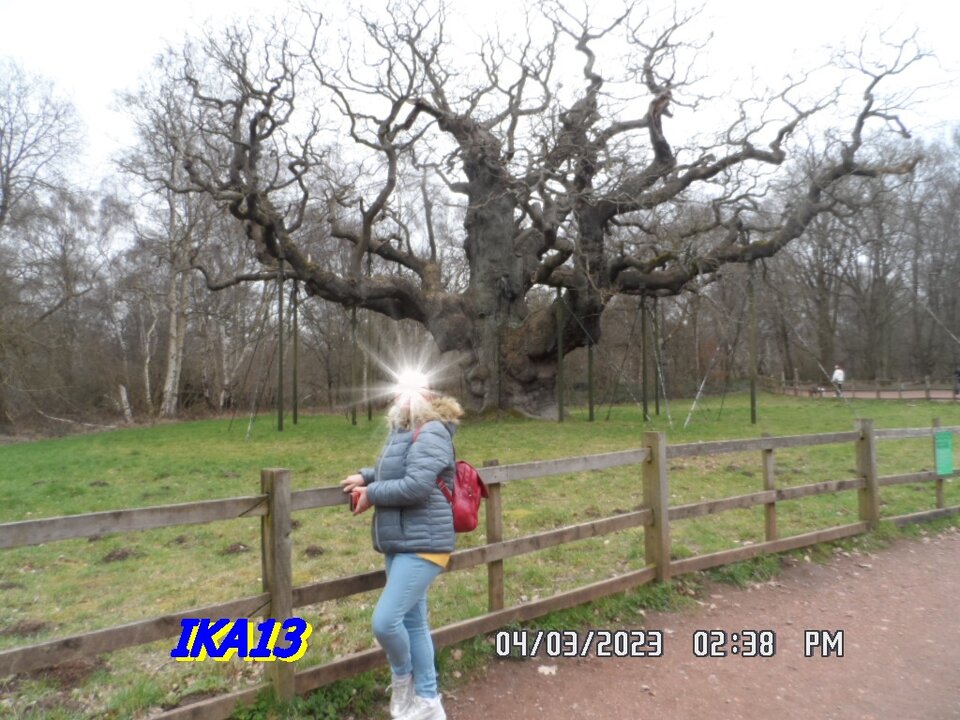 SAM_4401.JPG - ika13