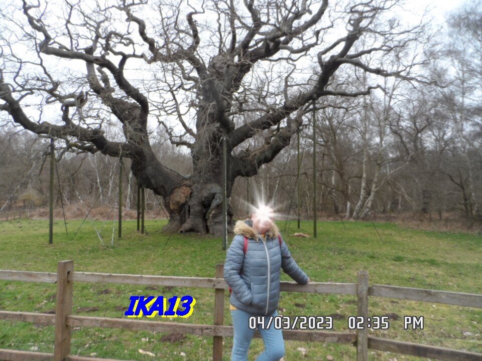 SAM_4398.JPG - ika13