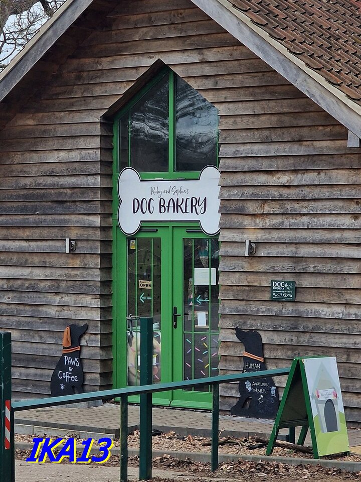 20230304_145755a.jpg - ika13